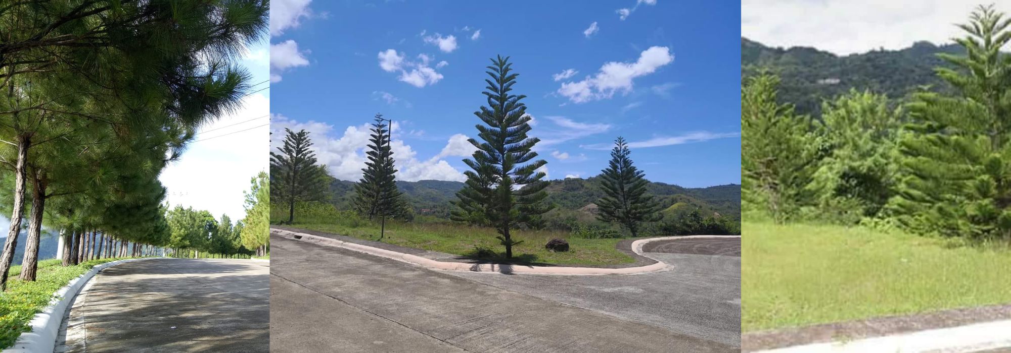 Talamban Residential Lot for Sale with Panoramic View